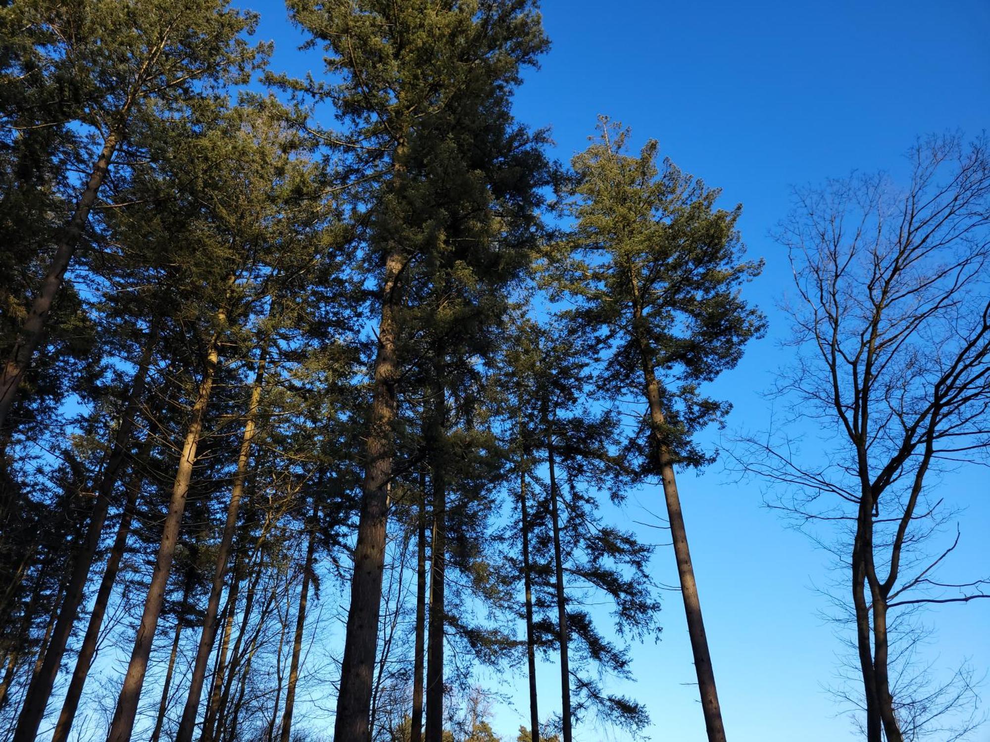 Secret Wellness Puur Natuur Хльтен Экстерьер фото