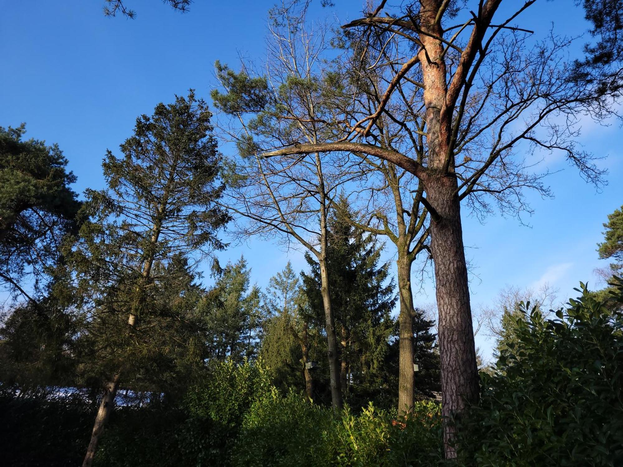 Secret Wellness Puur Natuur Хльтен Экстерьер фото